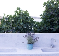 The Architect's House - Potamia, Naxos