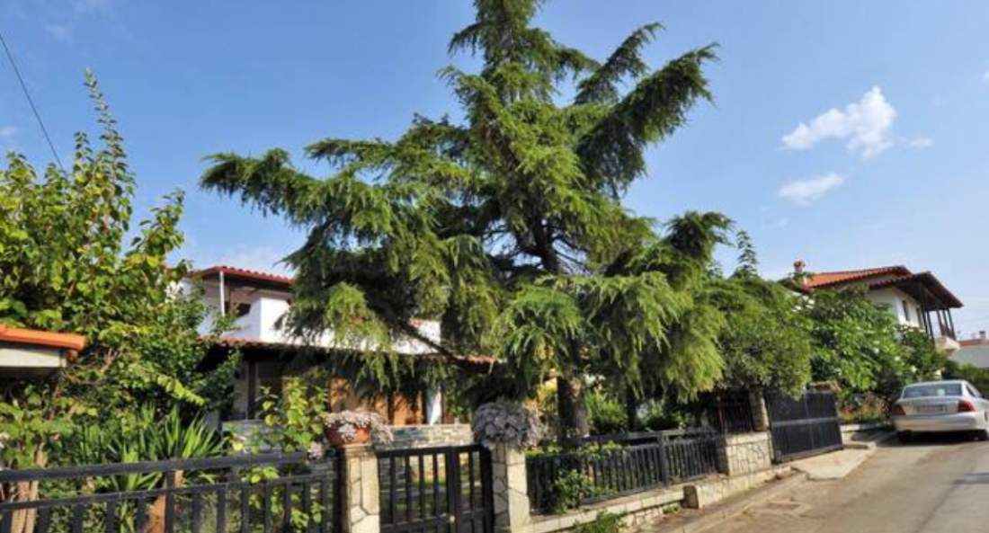 Home with garden in Flogita Beach, Chalkidiki