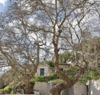 Elia apartment - Sandali - Sitia