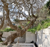 Elia apartment - Sandali - Sitia