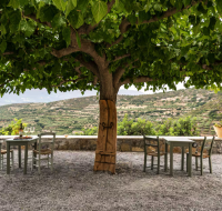 Amvikas: Oinos Suite & Cave, with Jacuzzi-Sitia