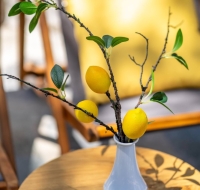 Lemoni House in Petras, Sitia